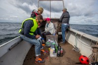 (c) Stine Sophie Winckel, Rebel Media House